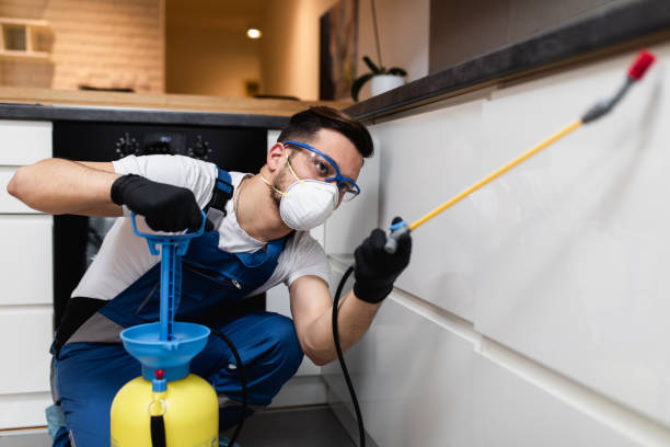 Trusted Iowa City, IA Pest Control Experts