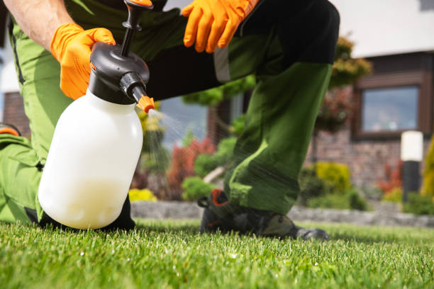 Best Mosquito Control Services  in Iowa City, IA