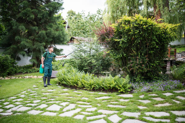 Best Affordable Pest Control Services  in Iowa City, IA