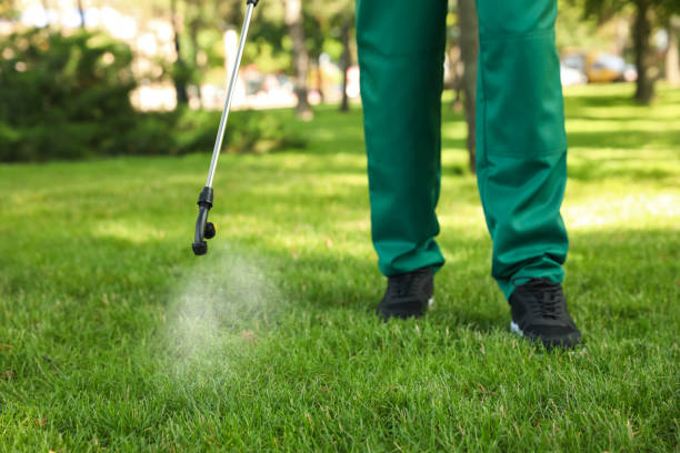 Best Pest Removal Services  in Iowa City, IA