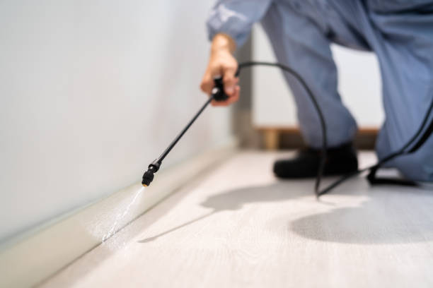 Pest Prevention Services in Iowa City, IA
