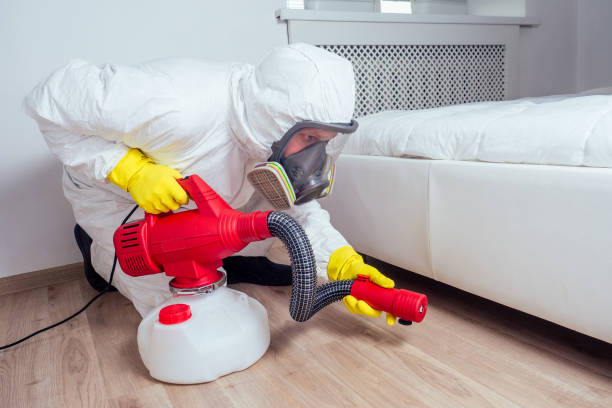 Best Bed Bug Extermination  in Iowa City, IA