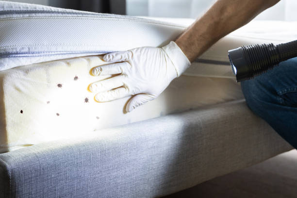 Best Pest Control for Businesses  in Iowa City, IA
