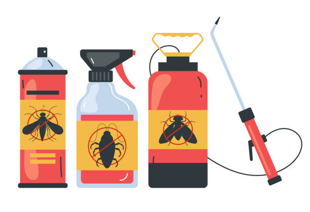 Best Ant Control Services  in Iowa City, IA