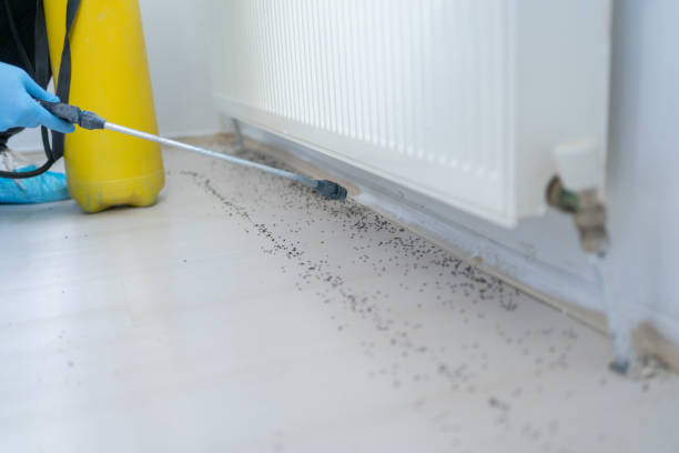 Best Rat Extermination Near Me  in Iowa City, IA